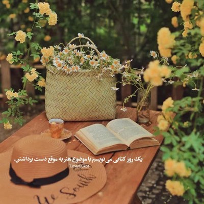 هایده نمیشه ازت دل کند